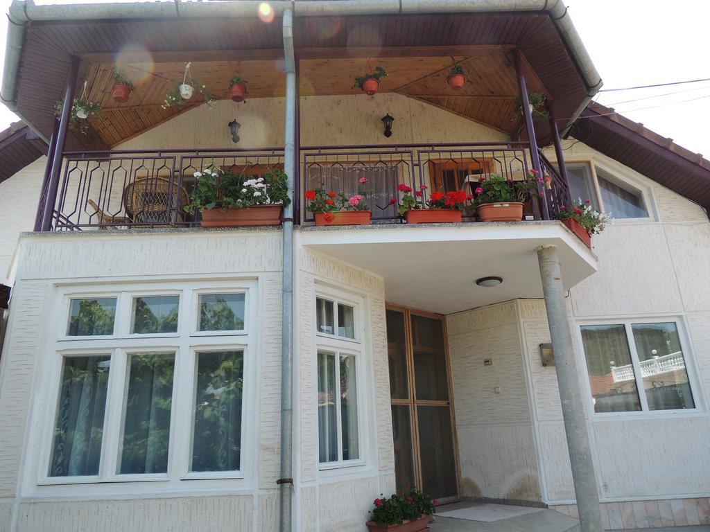 Casa Debora Hotel Hateg Bagian luar foto